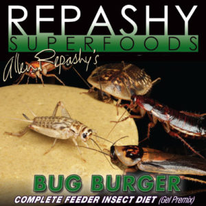 497_BUG-BURGER-PDP13075716904deff5ea78af0